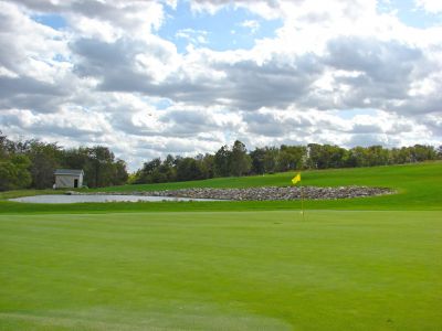Course (18)